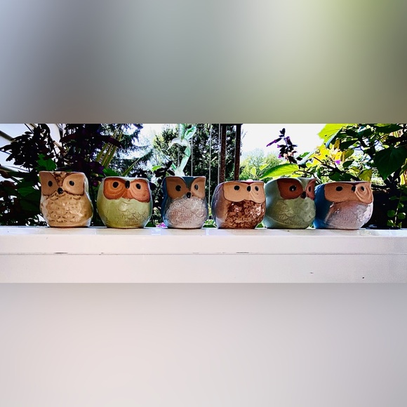 3 Brand New Mini Owl🦉Planters, Great for Mini Live or Faux Succulents or Whatev - Picture 9 of 16